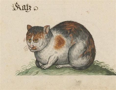 Pin by Julius Schultz on Medieval Cats | Cat art, Cat painting ...