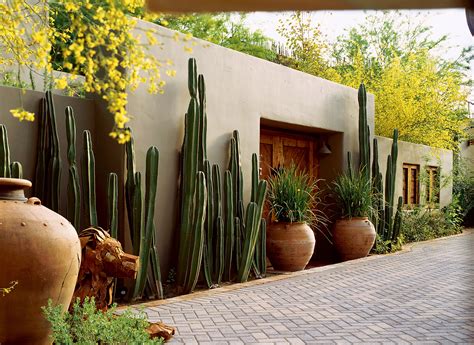 Southwest style: Cactus on guard - Sunset Magazine