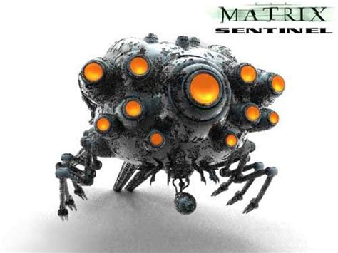 3d model matrix sentinel