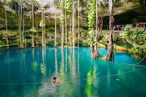 The Best Cenotes in Yucatan in January 2025 | Island Life Mexico