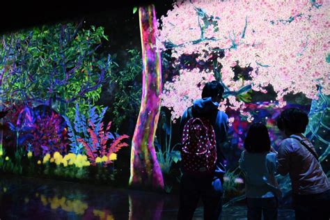 TeamLab★Forest Fukuoka - Fukuoka - Japan Travel