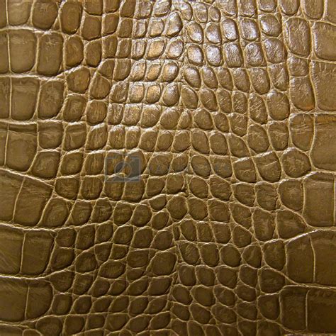 crocodile skin texture by tungphoto Vectors & Illustrations Free download - Yayimages