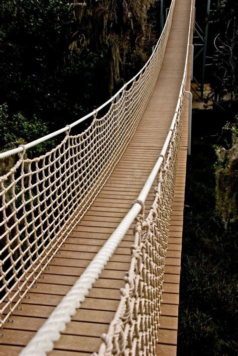 Rope bridge stock image. Image of view, rope, outdoor - 12767031