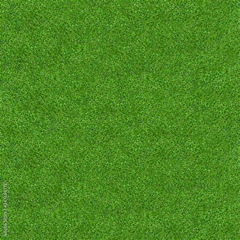 Green grass texture for background. Green lawn pattern and texture background. Close-up. Stock ...