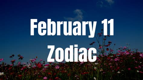 February 11 Zodiac Sign Personality, Compatibility, Traits and More