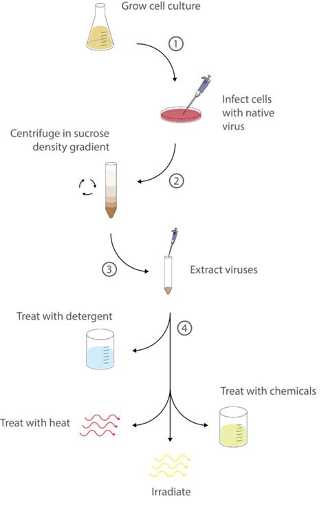 Viral Lysates for Diagnostic Research - The Native Antigen Company