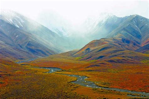 Mount Prindle Research Natural Area - research areas - Alaska Handbook