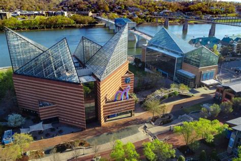 Chattanooga Aquarium: 45+ Essential Things to Know BEFORE Going