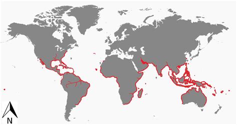 Distribution map of Carcharhinus leucas based on the present literature... | Download Scientific ...