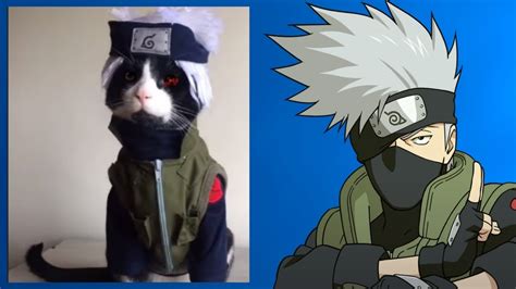 Kakashi Sensei Cat With Sharingan Naruto Shippuden (Naruto Cats) #Shorts - YouTube