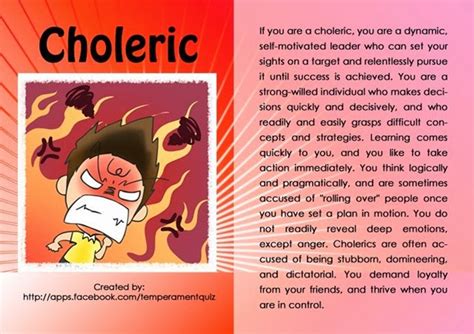 What is choleric sanguine? – ouestny.com