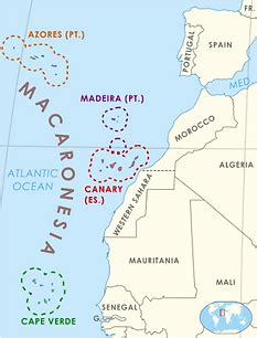 Macaronesia | Marine Sabres