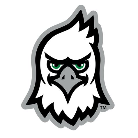 North Dakota Fighting Hawks - North Dakota Hockey Mascot Single Layer - College Wall Art