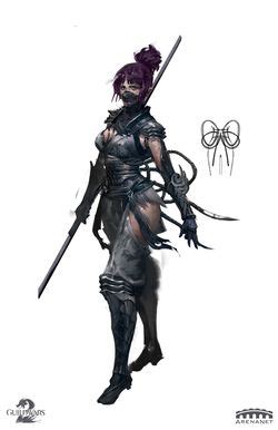 Shadow Assassin Outfit - Guild Wars 2 Wiki (GW2W)