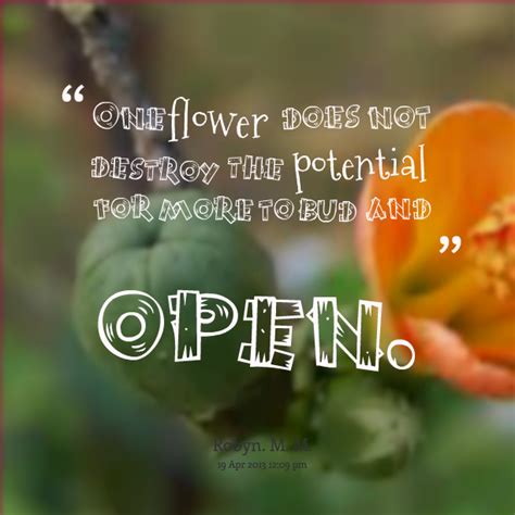 Quotes About Flower Buds. QuotesGram