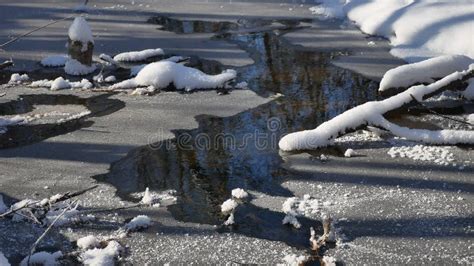 Forest Stream Flows in the Winter Landscape Forest Nature Snow, Stock ...