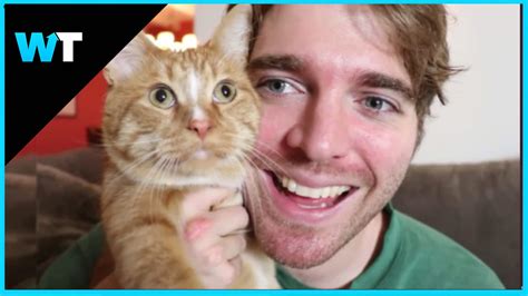 Shane Dawson APOLOGIZES for Cat Joke | What's Trending