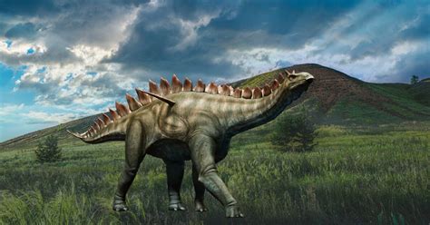 Stegosaurus - Everything about the dinosaur with spikes on its tail