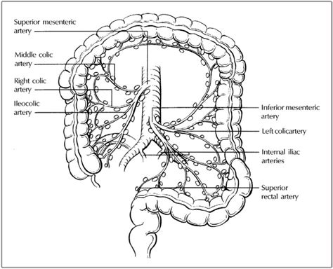 Colon Cancer And Lymph Nodes