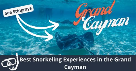 Grand Cayman Snorkeling: 11 Best Spots To Discover | ISM