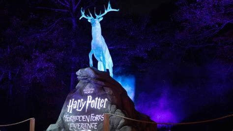 Aussie Harry Potter event sparks fury