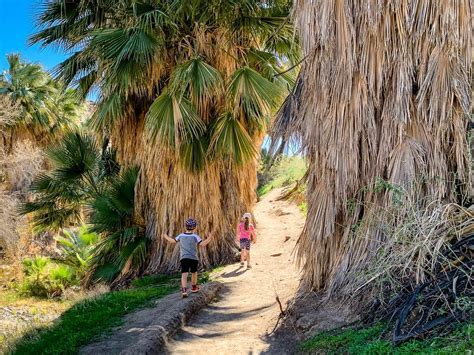 The 4 Best Kid-Friendly Palm Springs Hiking Trails - Family Can Travel