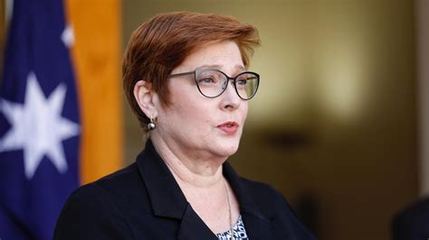 Foreign Minister Marise Payne to visit South-East Asia to ease fears ...