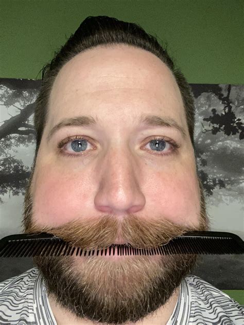 What you some mustache grooming tricks? I bite a comb. : r/Moustache