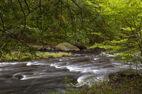 Upper Lehigh River - Stock Image - C043/8606 - Science Photo Library