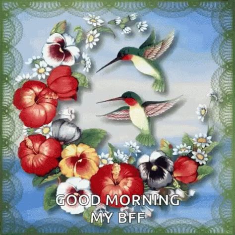 Good Morning GIF - Good Morning BFF - Discover & Share GIFs