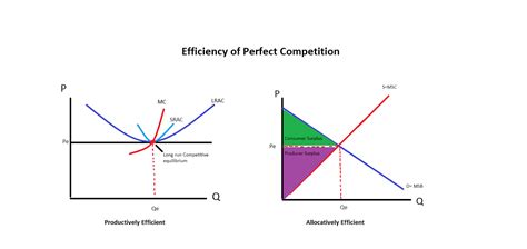 Perfect Competition : June 2013