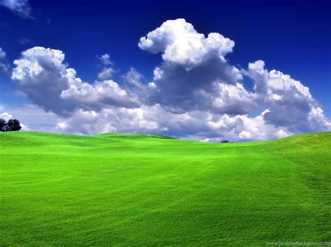 Green Grass HD Wallpapers & Backgrounds Nature Pictures Desktop Background