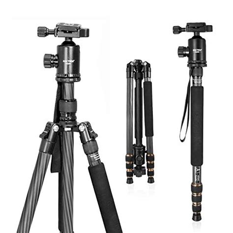 Top 10 Camera Tripods For Wildlife Photography of 2020 | No Place ...