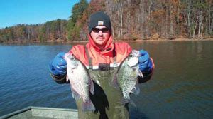 Black Crappie and White Crappie (from NC WINS) | NCpedia