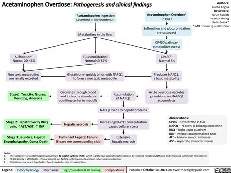 Acetaminophen Overdose: Pathogenesis and Clinical findings | Calgary Guide