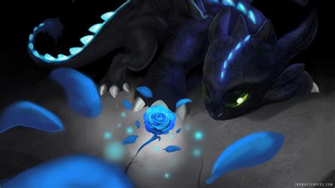 Cute Toothless Wallpapers - Top Free Cute Toothless Backgrounds - WallpaperAccess