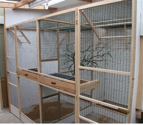 Indoor Aviary for Small Birds | Bird aviary, Bird house kits, Aviary