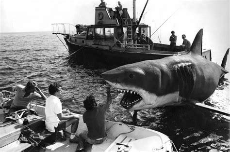 Steven Spielberg On The Set Of Jaws — The Daily Jaws