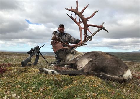 Alaska Moose, Caribou or Bear Hunting: Gage Outdoor Expeditions