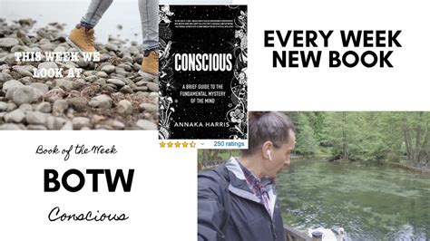 Conscious by Annaka Harris Book Review: A Brief Guide to the ...