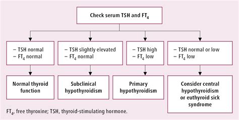 Hypothyroidism - Thyroid Gland Diseases - Endocrinology - Diseases - McMaster Textbook of ...