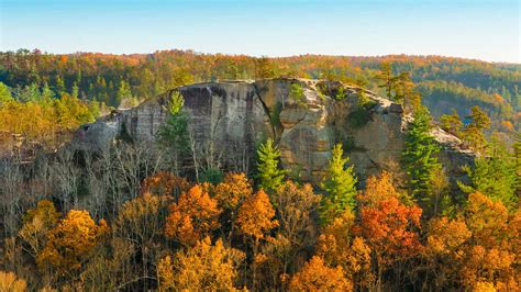 Things To Do In Red River Gorge KY | Natural Bridge Campground