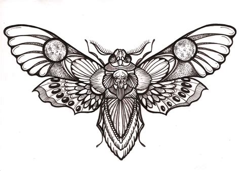 inner workings — _everywhere. | Moth tattoo design, Moth tattoo, Insect ...