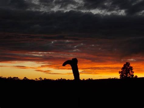 Cowboy Sunset… – The Zephyr