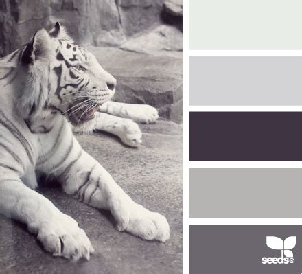 How Can You Manifest a Life Out of the Ordinary? | Design seeds, Seeds color, Color swatches