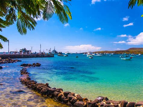 What are the different islands to visit in the Galapagos? - Steppes