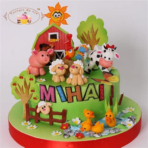 Mihai's Farm cake - Decorated Cake by Viorica Dinu - CakesDecor