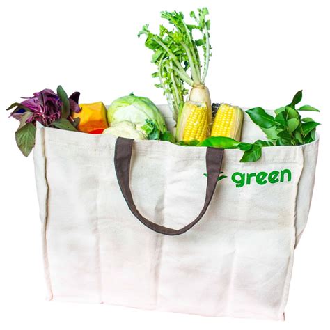 Printed Vegetables Fabric Bag, Rs 45 /piece Creative Enterprises | ID ...