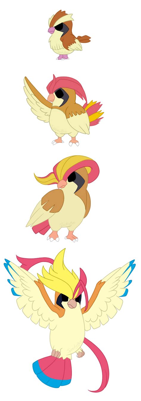 Pidgy, Pidgeotto, Mega/Pidgeot by x-SpookyBoo-x on DeviantArt