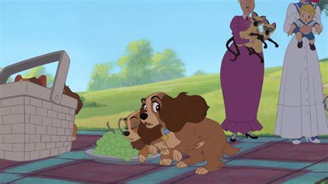 Image - Lady-tramp-2-disneyscreencaps.com-5459.jpg | Heroes Wiki ...